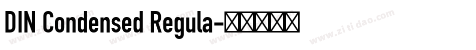 DIN Condensed Regula字体转换